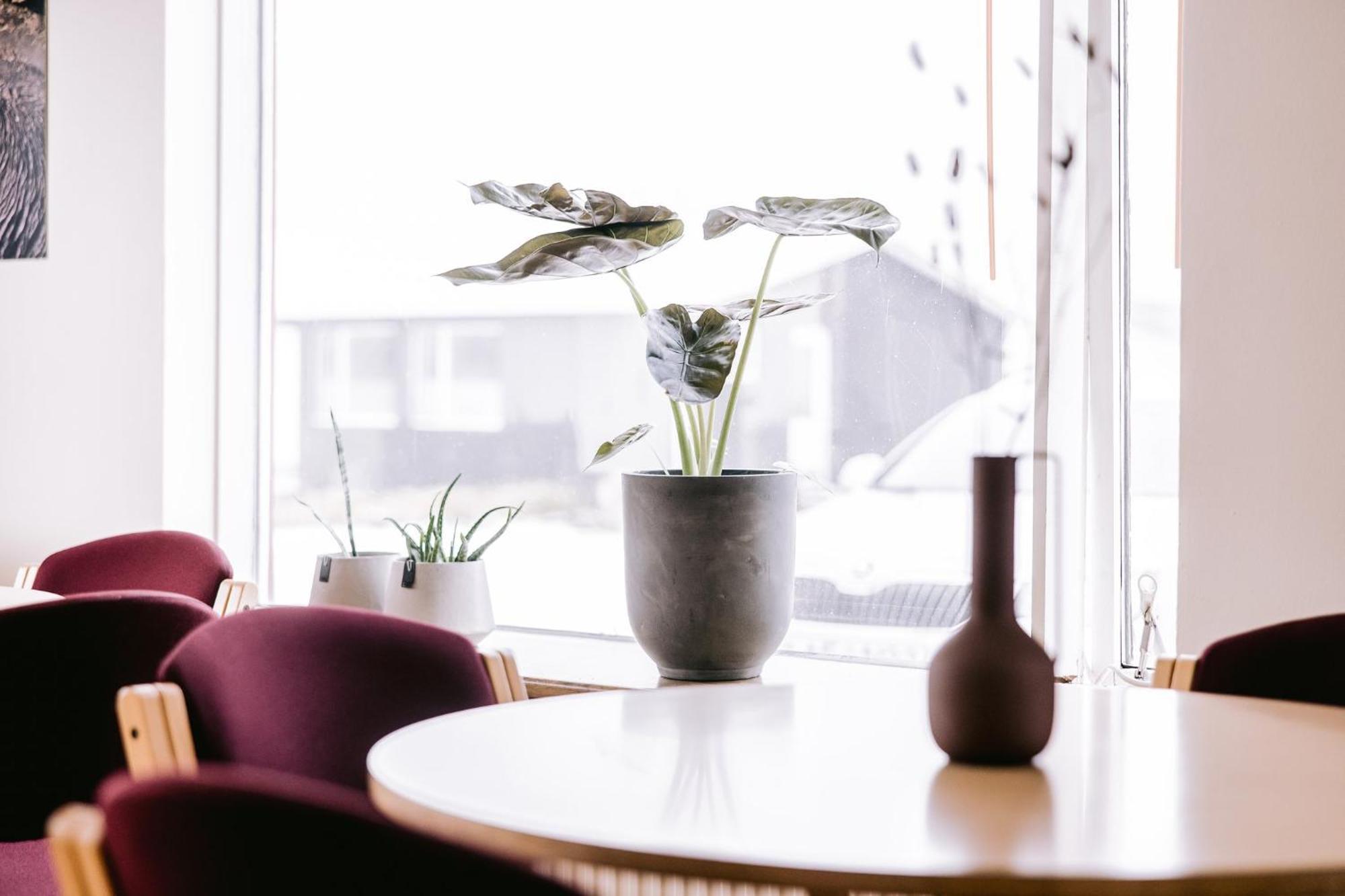 Elda Guesthouse Миватн Екстериор снимка